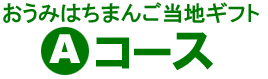 おうみはちまんご当地ギフトAセット