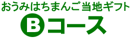 おうみはちまんご当地ギフトBセット